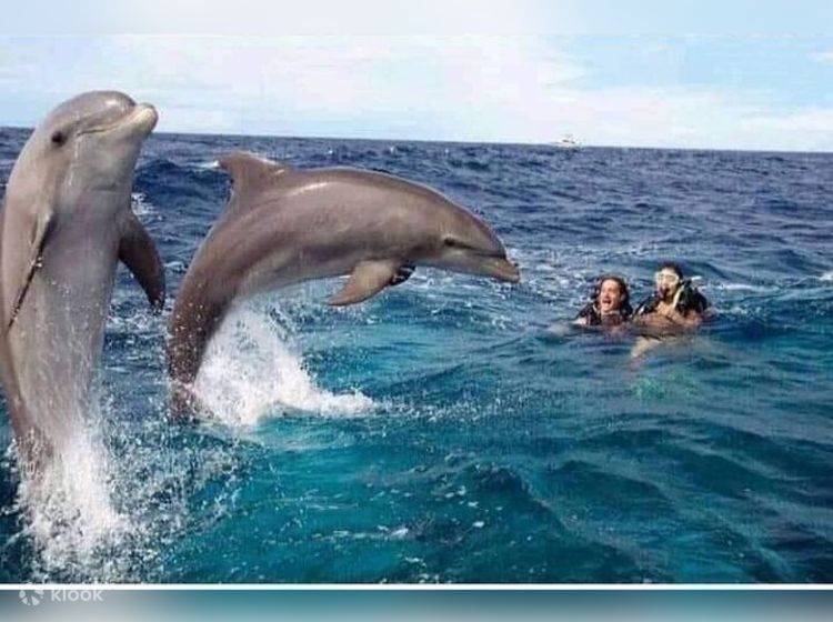 The Rock Restaurant from the beach